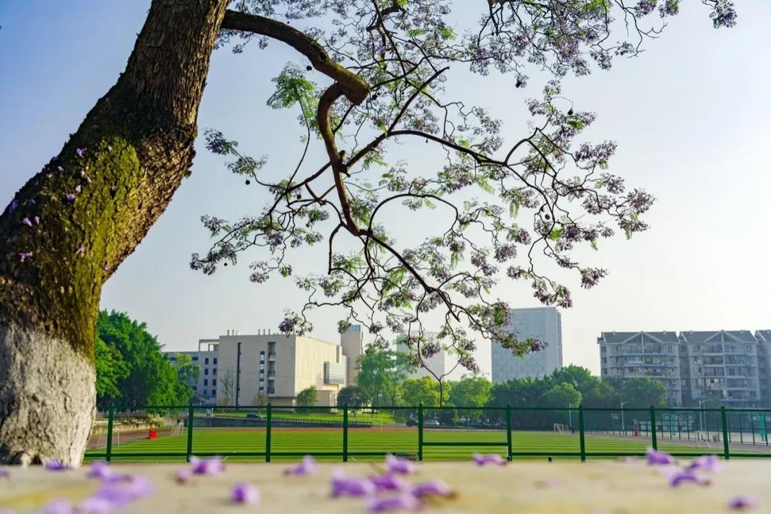 微信图片_20200610174220.jpg