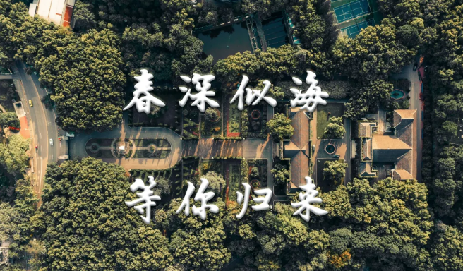 微信图片_20200503110412.png
