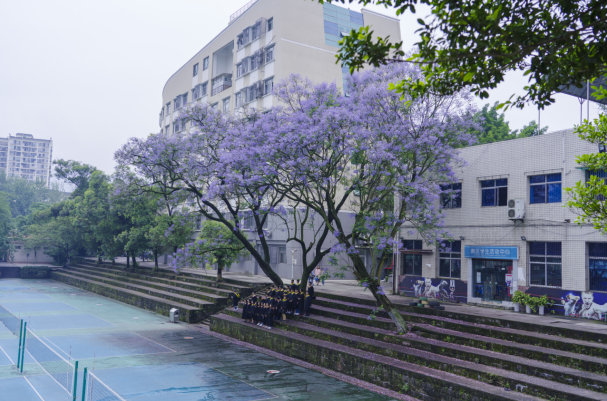 微信图片_20200610174154.png