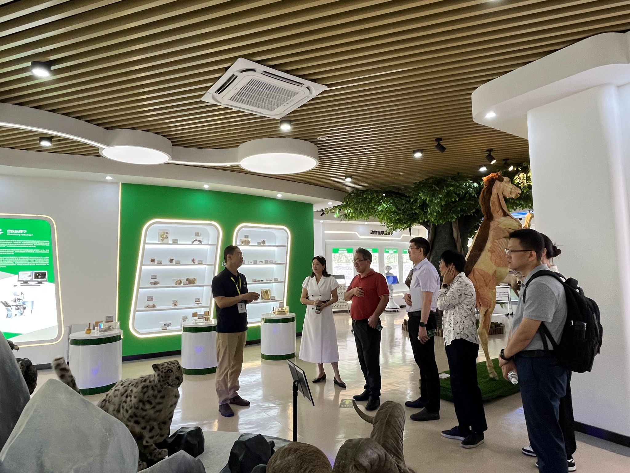 文件名称:lQDPKH_9rFE_uefNC9DND8CwvbZtDbtnznkIFW-Q6e6YAA_4032_3024.jpg