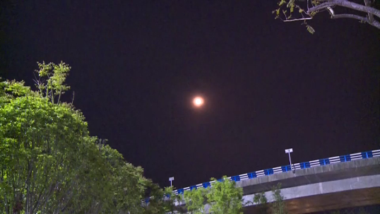 微信图片_20200408225341.png