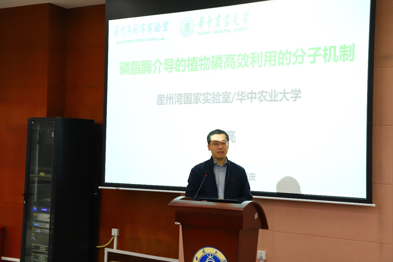 文件名称:image4.jpeg原图大小:NaNGB