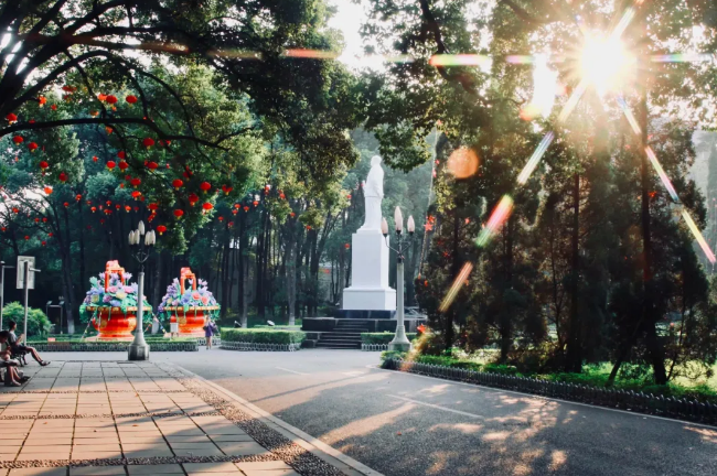 微信图片_20200503110548.png