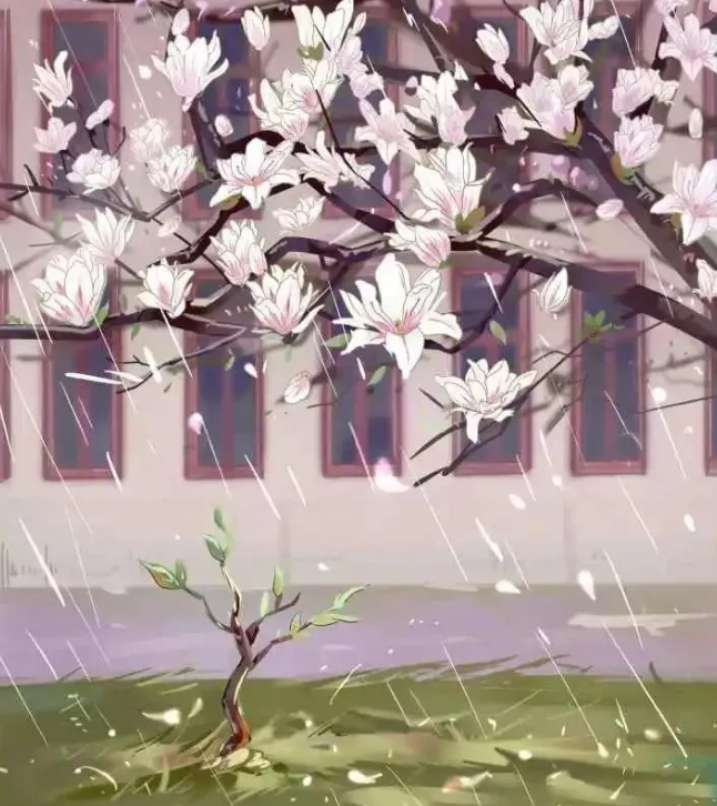 微信图片_20200503110701.png