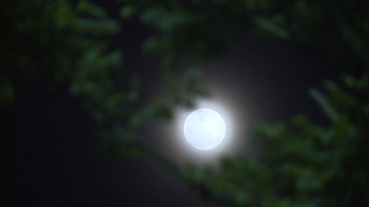 微信图片_20200408225232.png