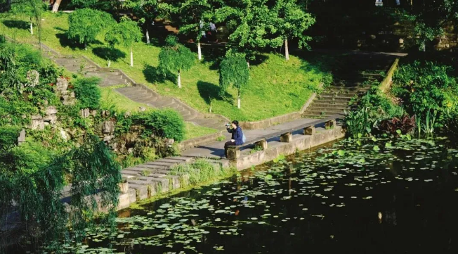 微信图片_20200503110629.png