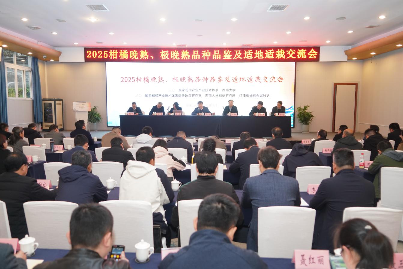 文件名称:image6.jpeg原图大小:NaNGB
